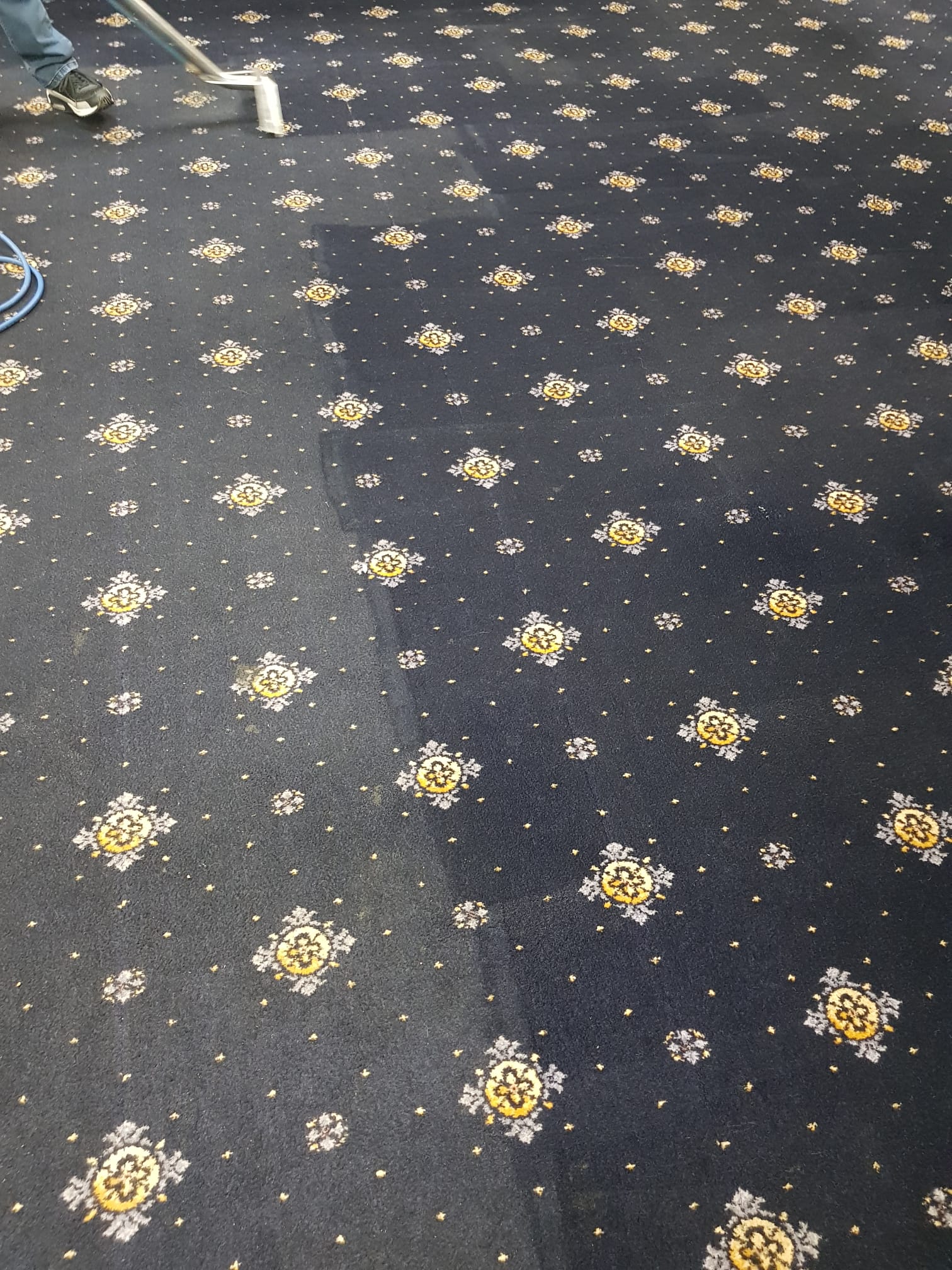 Carpet Cleaning